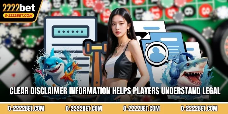 Clear disclaimer information helps players understand legal responsibilities 